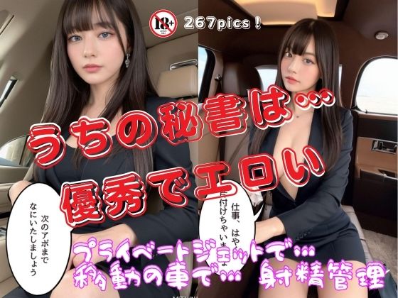 【うちの秘書は…優秀でエロい プライベートジェットで…移動の車で…射精管理】妄想グラビア出版