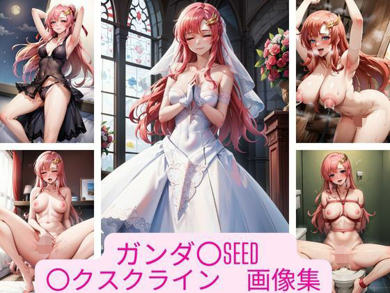 【ガンダ〇SEED 〇クスクライン 画像集】さーくるP