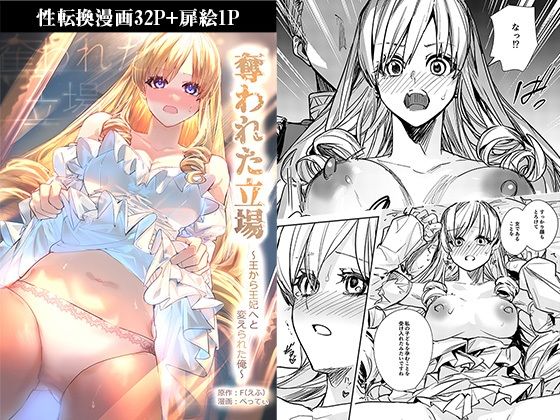 【奪われた立場〜王から王妃へと変えられた俺〜】TSFのF