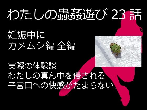 【私の蟲姦遊び 23話 妊娠中に1匹のカメムシ編 全編】シングルママの日常