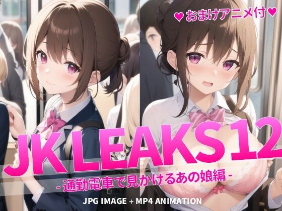 【JK LEAKS 12 - 通勤電車でみかけるあの娘編 -【おまけアニメ付】】AniyA