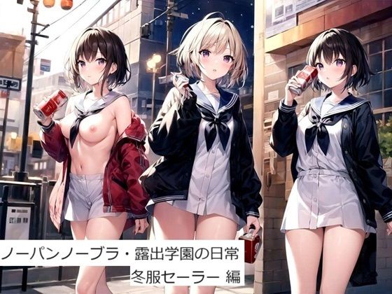 【ノーパンノーブラ・露出学園の日常 冬服セーラー 編】VIXEN