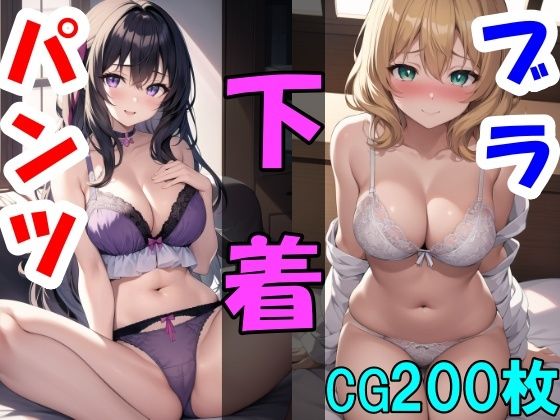 【下着のおかず 200枚 〜おかずシリーズVol5〜】あいのおかずや