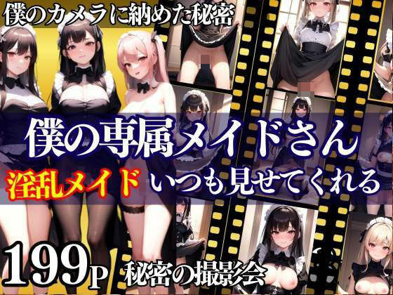 【僕の専属淫乱メイドさんいつでも見せてくれる 秘密の撮影会】アニメPRO
