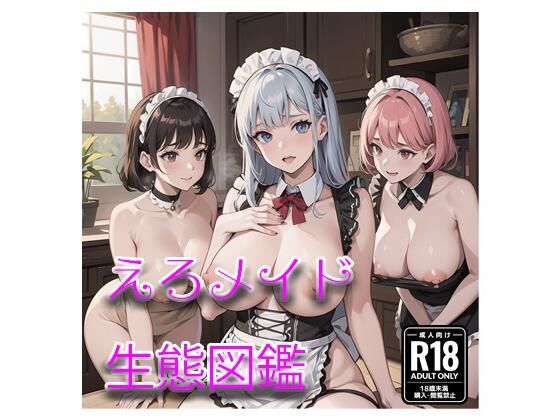 【えろメイド生態図鑑】mirage