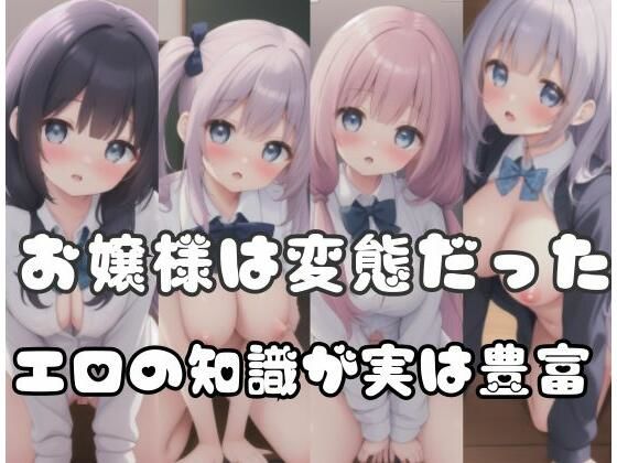 【お嬢様は変態だった…エロの知識が実は豊富】お助けマン