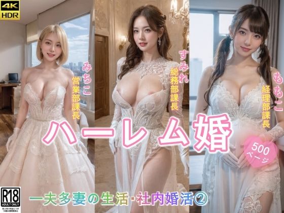 【ハーレム婚●一夫多妻の生活●社内婚活 2】AIDOLL