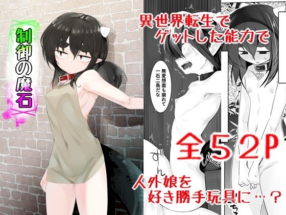 【制御の魔石】金画輪