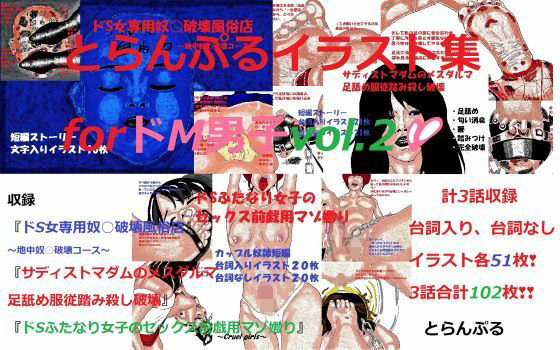 【とらんぷるイラスト集forドM男子vol.2】とらんぷる