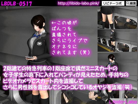 【2階建ての特急列車の1階座席で偶然ミニスカートの女子学生の真下に入れてパンティが見えたため、手持ちのビデオカメラでスカート内を盗撮してさらに男性器をシコシコしているオヤジを盗撮（笑）】Libido-Labo