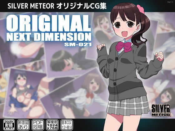 【ORIGINAL NEXT DIMENSION】SILVER METEOR