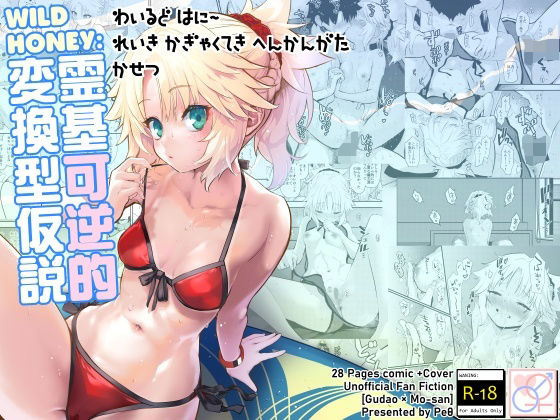 【WILD HONEY:霊基可逆的変換型仮説】Peθ