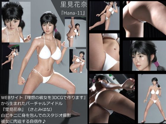 【【Dars-100】『理想の彼女を3DCGで作ります』から生まれたバーチャルアイドル「里見花奈（さとみはな）」の水着写真集:Hana-11】Libido-Labo