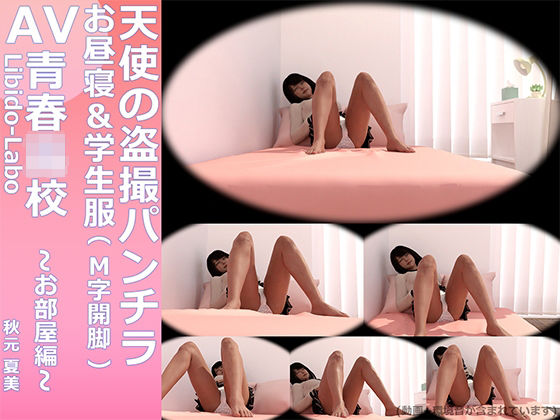 【【￥All】『理想の彼女を3DCGで作ります』から生まれたバーチャルアイドル「秋元夏美」天使のお昼寝盗撮パンチラ動画（学生服＆M字開脚）】Libido-Labo