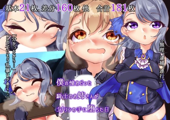 【僕の憧れだった騎士のお姉さんがゴブリンの手に堕ちた日】Ame司のおしろあめじ城