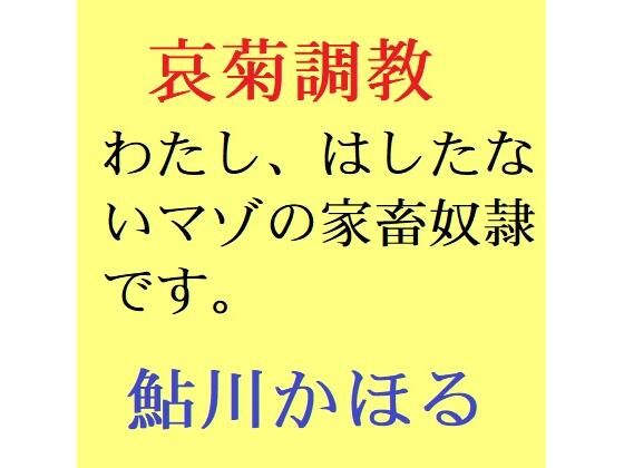 【哀菊調教 わたし、マゾの家畜奴●なんです】鮎川かほる