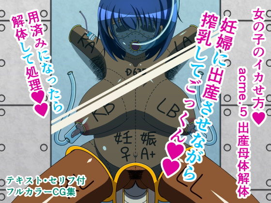 【女の子のイカせ方 acme.5 出産母体解体】人工美少女製作所