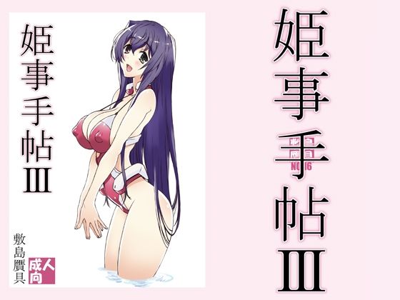 【姫事手帖3】敷島贋具