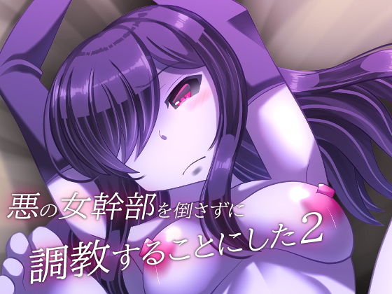 【悪の女幹部を倒さずに調教することにした2】SometimesBadTool