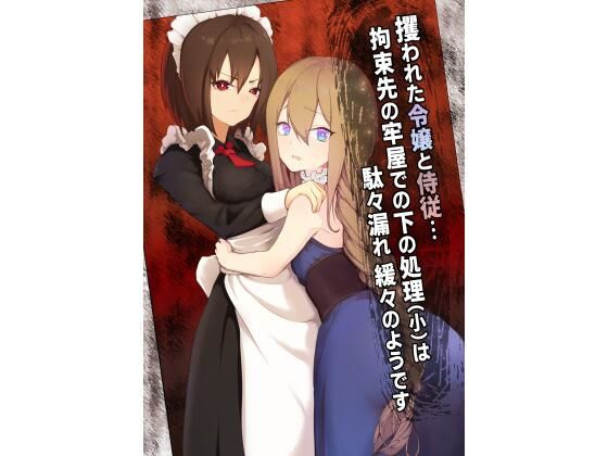 【攫われた令嬢と侍従…拘束先の牢屋での下の処理（小）は駄々漏れ緩々のようです】ミズトヒジリ