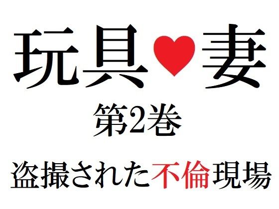 【玩具妻 第2巻 盗撮された不倫現場】海老沢  薫
