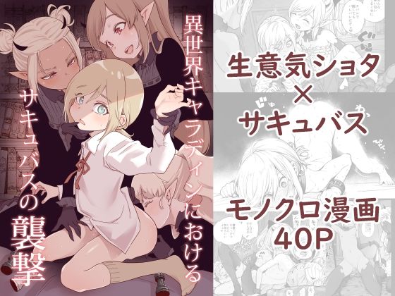 【異世界キャラディンにおけるサキュバスの襲撃】きゃらだいん