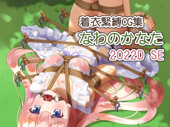 【着衣緊縛CG集 なわのかなた 2022D SE】村雲茶屋