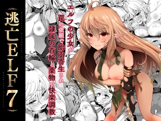 【逃亡ELF7】白金堂