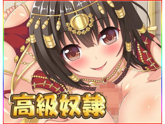 【高級奴●】ネロンソフト