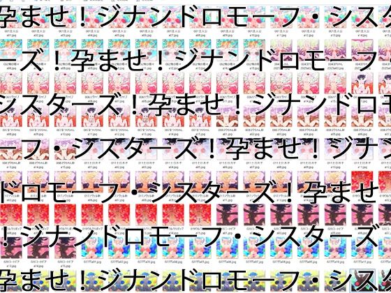 【【2GB越え差分CG集】孕ませ！ジナンドロモーフ・シスターズ！！2025＋＋＋【頂点ベスト】】ヒロカワミズキ（スタジオ・ジナシスタ！！）