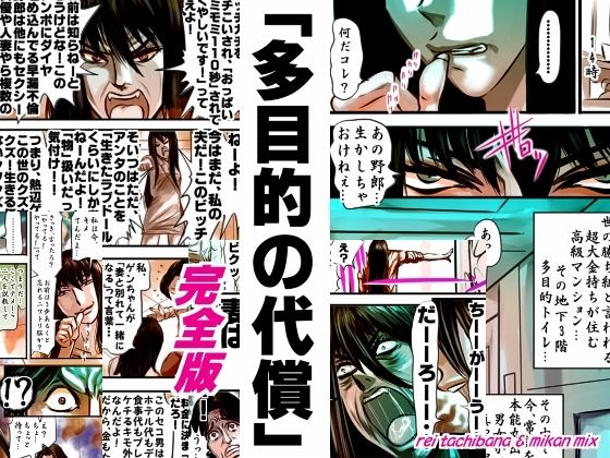 【完全版 多目的の代償】みかんミックス