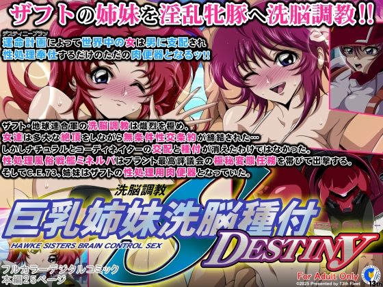 【巨乳姉妹洗脳種付DESTINY】第13艦隊